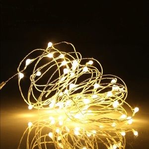 100 LED 33ft/10 Fairy Lights
